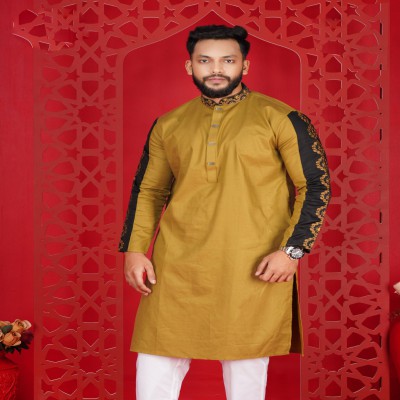 Embroidery Panjabi